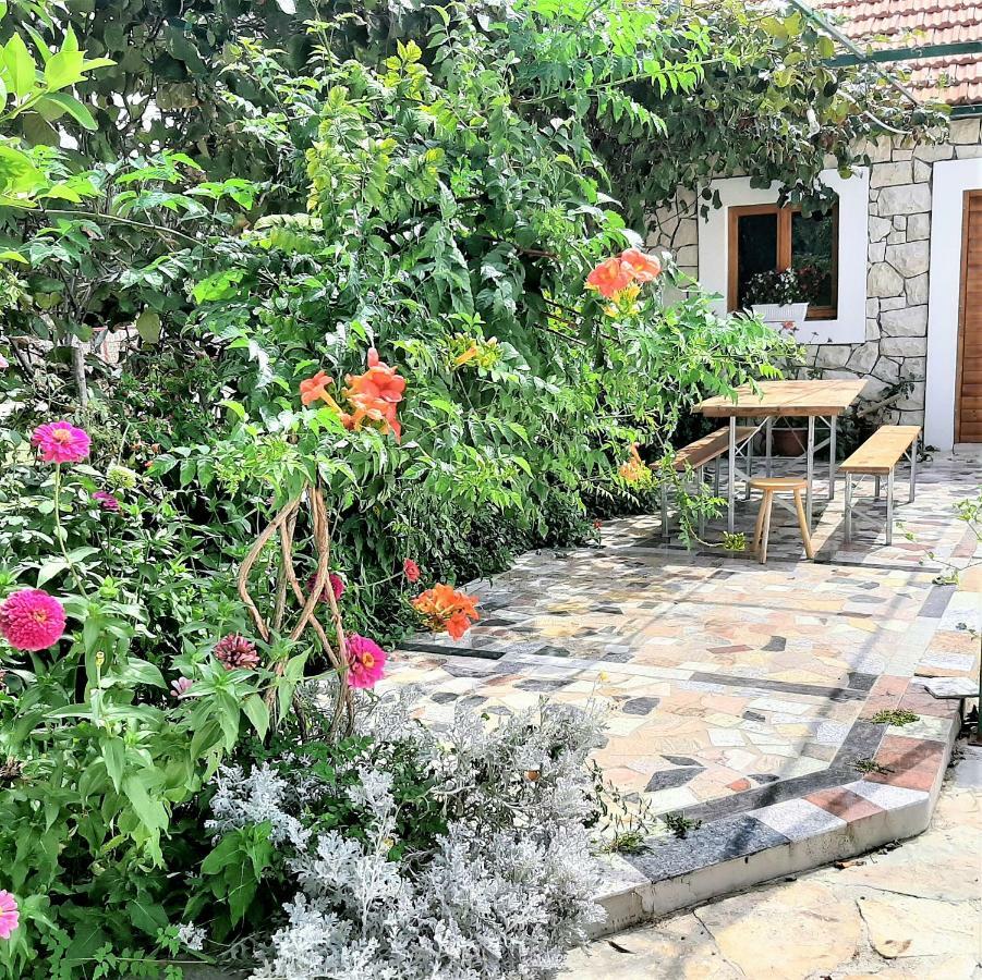 Apartments"Nika" With Private Pool Galovac  Esterno foto